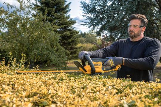 Кусторез аккумуляторный DeWALT DCMHT562P1